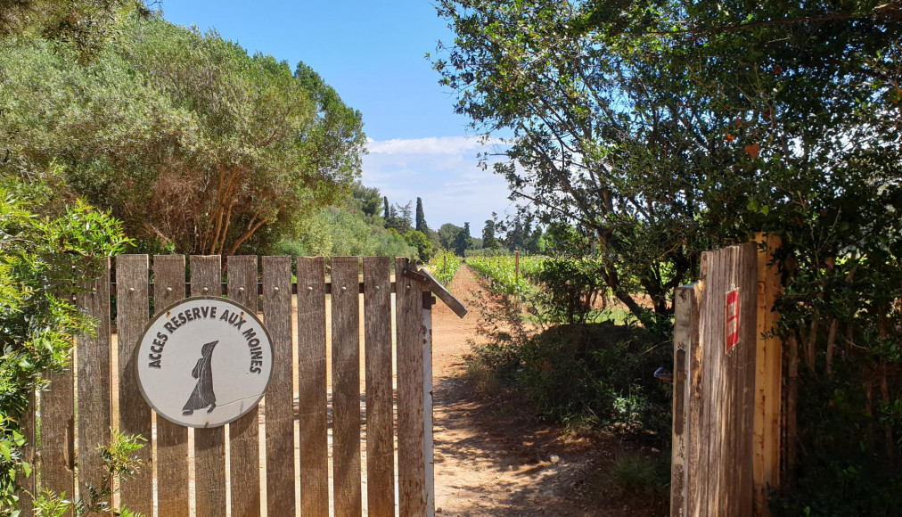 Le jardin du monastère de Lérins Le jardin du monastère de Lérins / ©Matthias Wirz