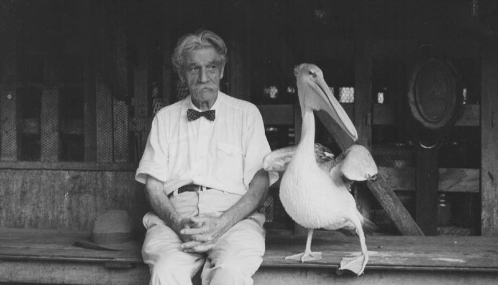 L'être humain fait partie de la création: c'est le grand apport d'Albert Schweitzer, penseur inclassable. Ici avec Parsifal, "son" pélican. L'être humain fait partie de la création: c'est le grand apport d'Albert Schweitzer, penseur inclassable. Ici avec Parsifal, "son" pélican. / © Archives Centrales Albert Schweizer Gunsbach / E. Anderson