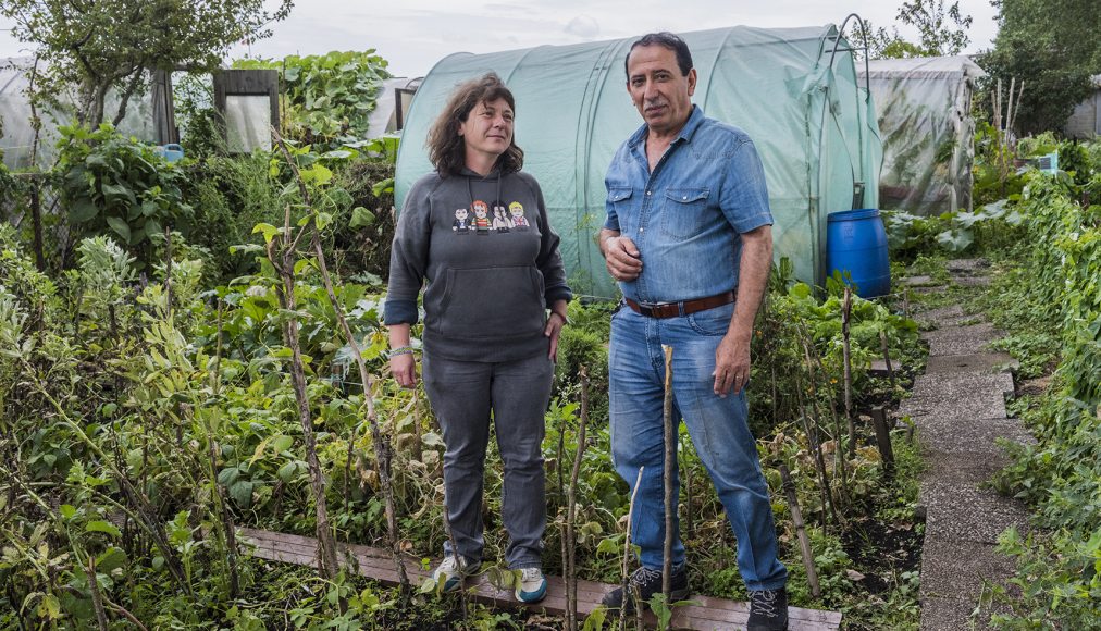Daisy et Jamal ont cultivé ensemble un jardin durant toute l'année 2018. Au total, 200 personnes ont été impliquées dans ce projet dont une centaine de personnes migrantes. Daisy et Jamal ont cultivé ensemble un jardin durant toute l'année 2018. Au total, 200 personnes ont été impliquées dans ce projet dont une centaine de personnes migrantes. / © UNHCR / Mark Henley