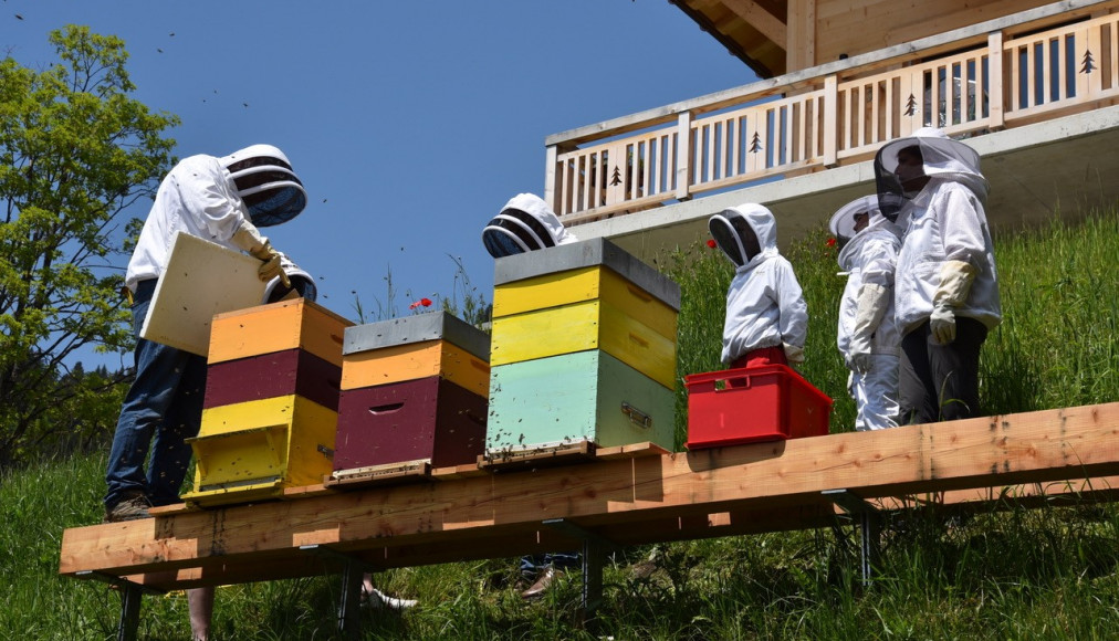 Un paroissien et apiculteur de Chesières a récemment proposé une journée découverte des abeilles. Un paroissien et apiculteur de Chesières a récemment proposé une journée découverte des abeilles. / ©DR