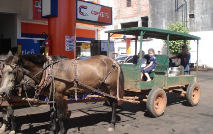 CC Domaine public -  Patricia Perez de Viveros - San Ignacio Paraguay _ Légende : des mennonites au Paraguay