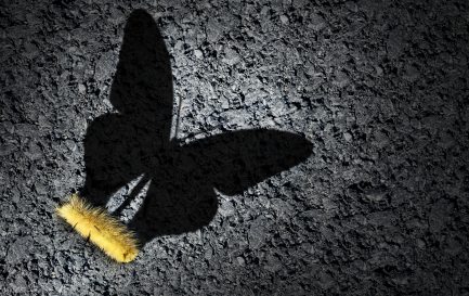 Image d&#039;illustration / ©iStock