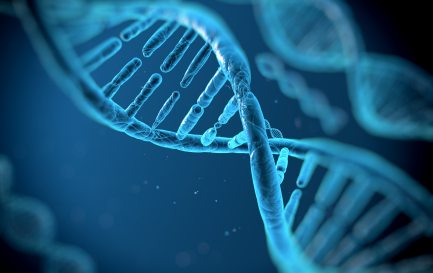iStock/Svisio / Une molécule d&#039;ADN.